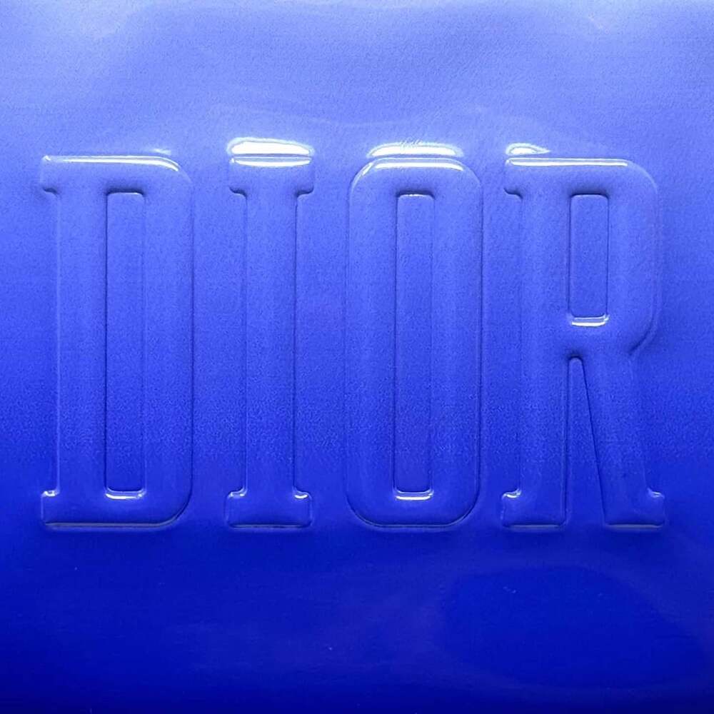 Dior Gradient Zipper Pouch - Picture 2 of 11